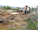 2012-02-14 :1: Brown