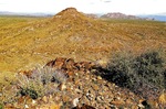 2012-02-14 :1: Brown