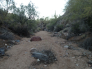 photo thumbnail #9