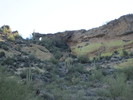 photo thumbnail #6