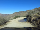 photo thumbnail #2