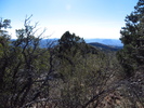 photo thumbnail #7