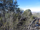 photo thumbnail #9