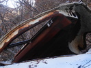 photo thumbnail #6