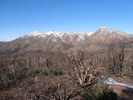 photo thumbnail #8