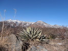 photo thumbnail #9