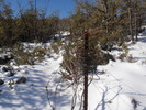 photo thumbnail #13