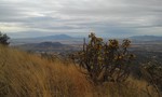 photo thumbnail #7