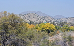 photo thumbnail #8