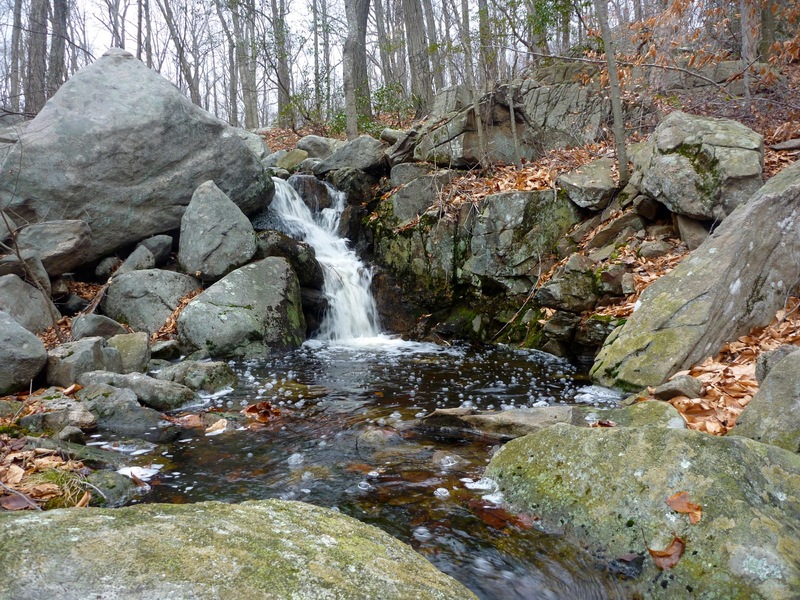 The pond - Picture of Lucius Pond Ordway / Devil's Den Preserve