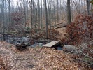 photo thumbnail #1