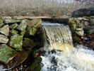 photo thumbnail #6