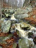 photo thumbnail #7
