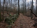 photo thumbnail #8