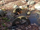 photo thumbnail #3