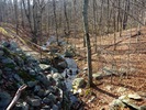 photo thumbnail #4