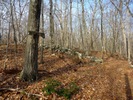 photo thumbnail #6