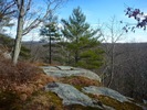 photo thumbnail #8