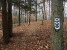 photo thumbnail #10