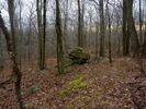 photo thumbnail #12