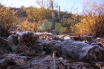 photo thumbnail #1