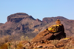 photo thumbnail #9