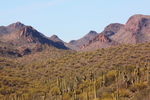 photo thumbnail #10