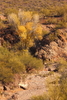 photo thumbnail #11