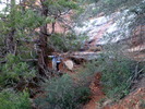photo thumbnail #12