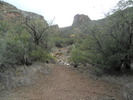 photo thumbnail #3