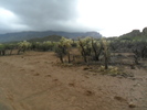 photo thumbnail #2
