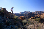photo thumbnail #7