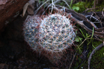 photo thumbnail #8