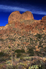 photo thumbnail #11
