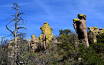 photo thumbnail #3