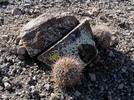photo thumbnail #1