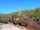 photo thumbnail #2