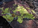 photo thumbnail #5