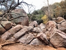 photo thumbnail #4