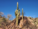 photo thumbnail #8