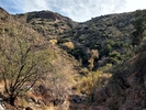 photo thumbnail #13