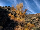 photo thumbnail #15