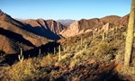 photo thumbnail #2