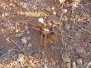 photo thumbnail #10