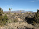 photo thumbnail #1