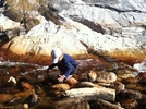 photo thumbnail #2