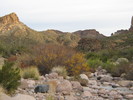 photo thumbnail #2