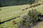 photo thumbnail #14