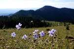 photo thumbnail #15