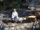 photo thumbnail #5